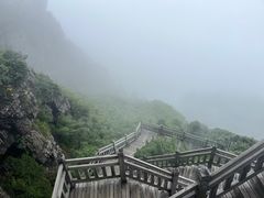 -炎陵县神农谷国家森林公园