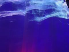 -水秀国际大剧院