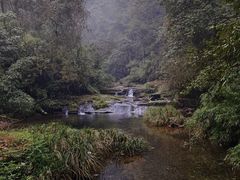 -碧峰峡风景区