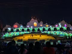 -花博汇(知音花月夜)