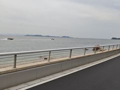 -杨梅坑