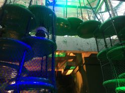 -恐龙探索乐园(磁器口店)