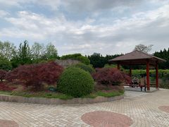 -嘉定紫藤园