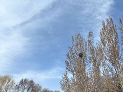 -森林公园(尖草坪区)