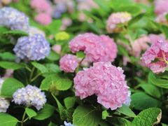 -常州古运河南大街文化旅游区-人民公园