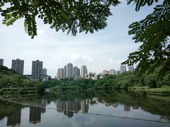 -重庆彩云湖湿地公园
