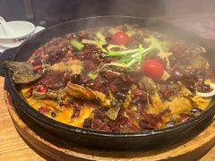 -老板恋上鱼(恒隆广场店)