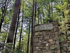 -莫干山风景区