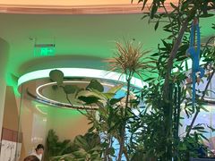 -桂满陇·蟹黄小笼汤包(清河万象店)
