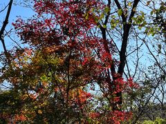 -玉渡山自然风景区