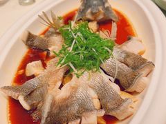 清蒸鲈鱼-马旺子酒楼