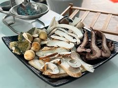 -蘑统田下·野生菌火锅