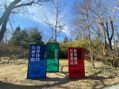 -玲珑塔公园
