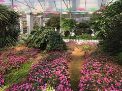 -广东花都香草世界旅游度假区