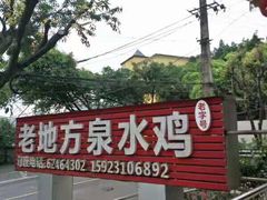 -南山老地方泉水鸡(南山店)