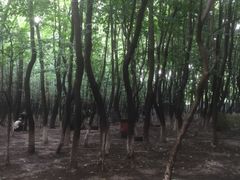 -亲兄弟真人CS团建拓展基地
