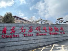 -青藏高原野生动物园