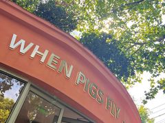 -WHEN PIGS FLY当猪飞