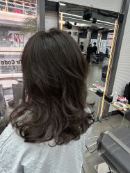 -Hair Code芭曲发型