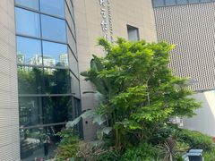 -四川大学博物馆