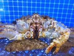 -聚宝渔港.五钻酒家(上地店)