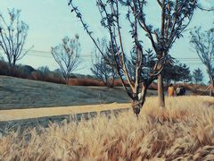 -汉长安城未央宫国家考古遗址公园