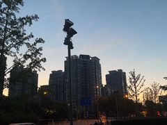 -深蓝盲人推拿·颈肩腰腿疼痛·艾灸调理(清河店)