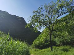 -抱龙峪
