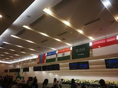 -广州保龄球馆(广州天河体育中心店)