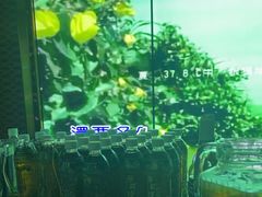 -温莎KTV(珠江路店)