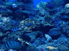 -常州海昌海洋探索馆