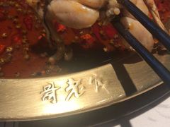 -哥老官重庆美蛙鱼头(宝山龙湖店)