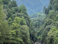 -石台牯牛降景区