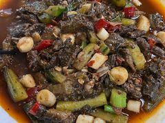 -灯盏窝饭店(新都分店)