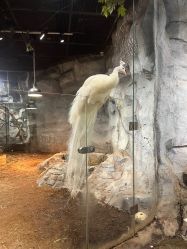 -Zoolung Zoolung动物主题公园(海信广场店)