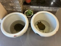 -巢湖名吃·东关老鹅汤(江南风情街店)