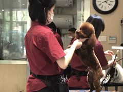 -宠物家(双井店)