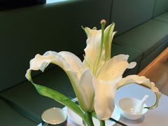 -潮上潮(南中环店)