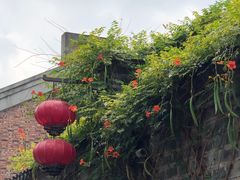 -巧云大馄饨(南阴阳营总店)