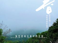 -阳台山森林公园