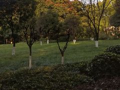 -龙头寺公园