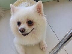 -怪兽屋·羊驼·猫咖·狗咖(俊华广场店)