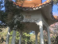 -风云岭森林公园