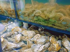 -九层海鲜塔(市南店)