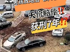 -元甲律所·交通事故理赔·伤残鉴定