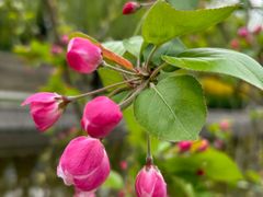 -元大都城垣遗址公园