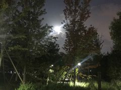 -回龙观体育文化公园