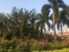 -珠海拱北口岸