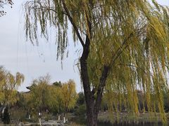 -武汉园博园(武汉自然博物馆)