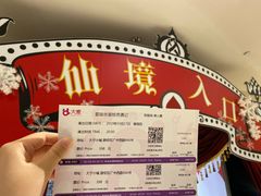 -爱丽丝冒险奇遇记